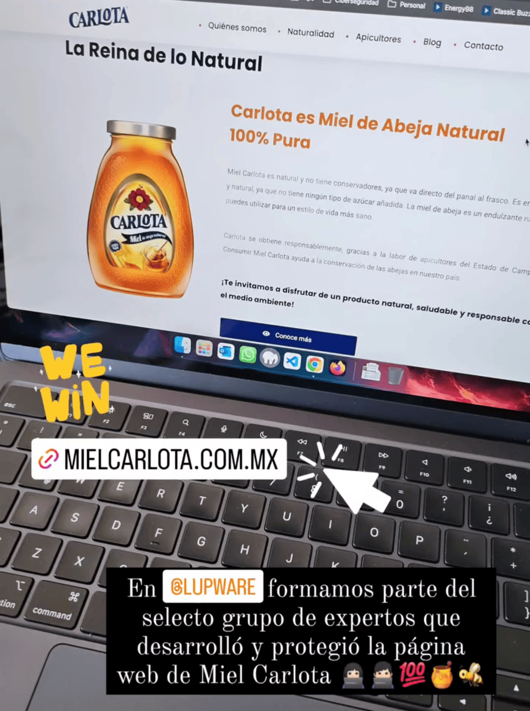 Soporte Web Lupware FAQ